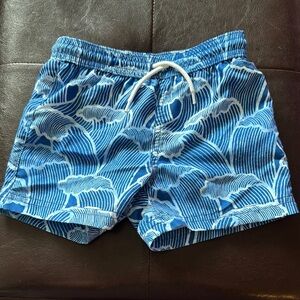 Janie and Jack Blue Wave Swim Trunks